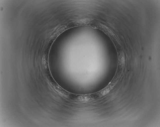 X0000075370764200609081139