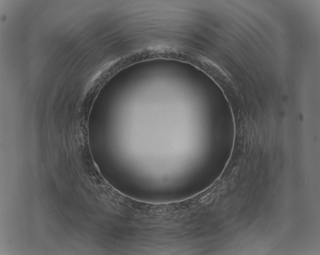 X0000075370776200609081138