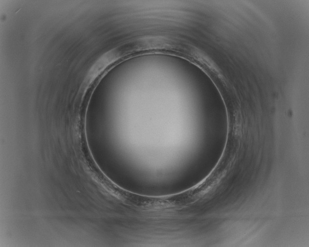 X0000075370786200609081138