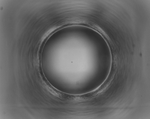 X0000075370787200609081138