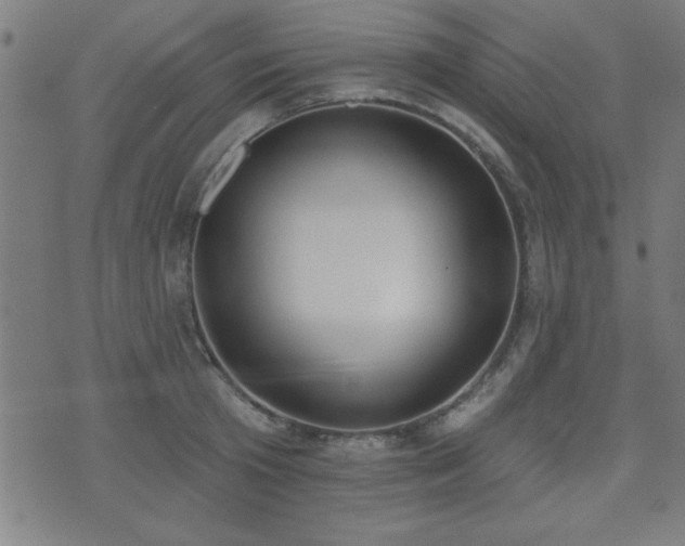 X0000075370801200609081138