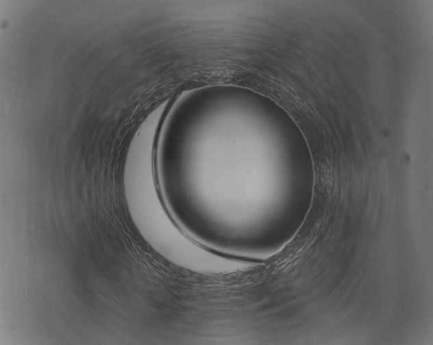 X0000075370818200609081137