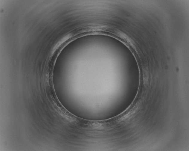 X0000075370827200609081137