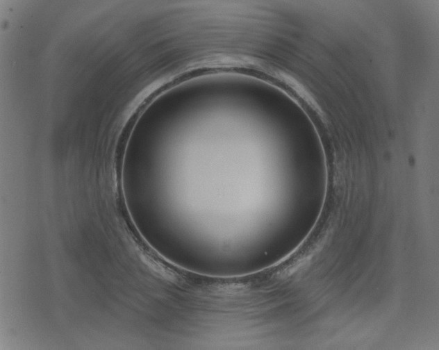 X0000075370837200609081137