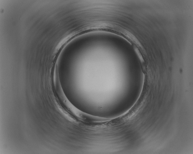 X0000075370842200609081137