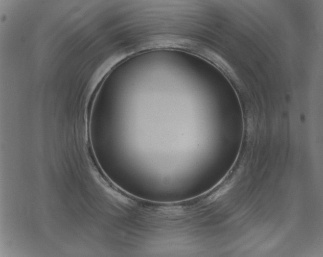 X0000075370844200609081137