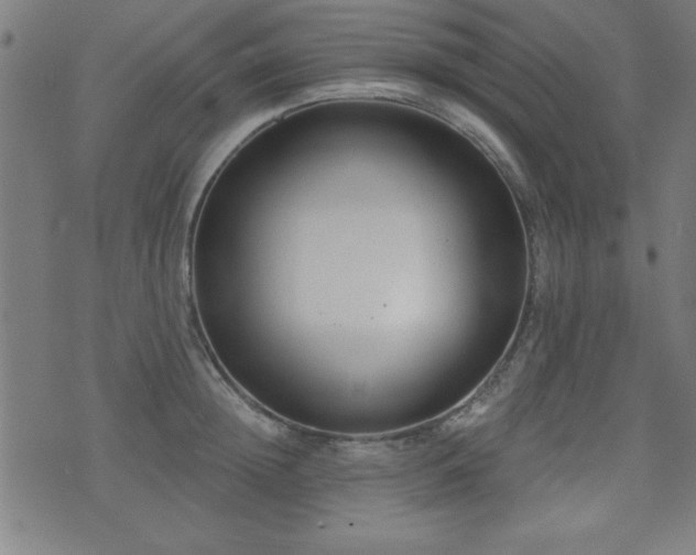 X0000075370852200609081137
