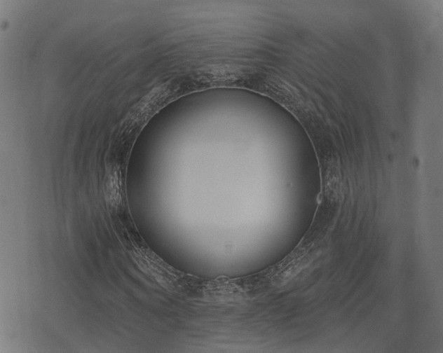 X0000075370866200609081137