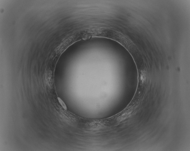 X0000075370867200609081137