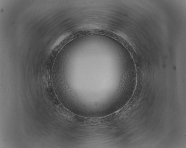 X0000075370871200609081137