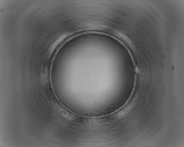 X0000075370875200609081137