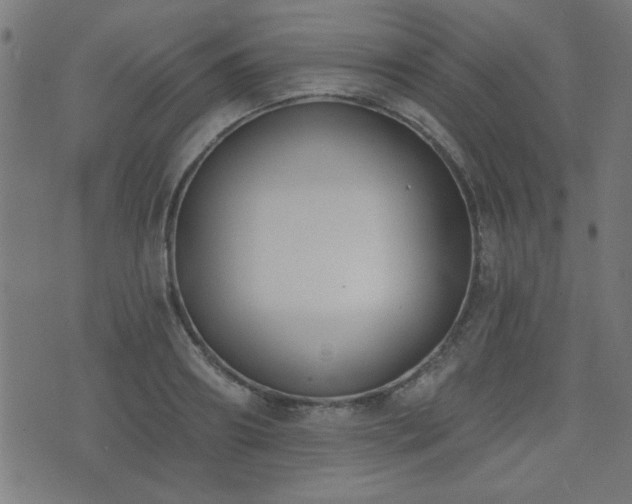 X0000075370890200609081136