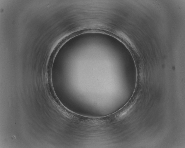 X0000075370924200609081135