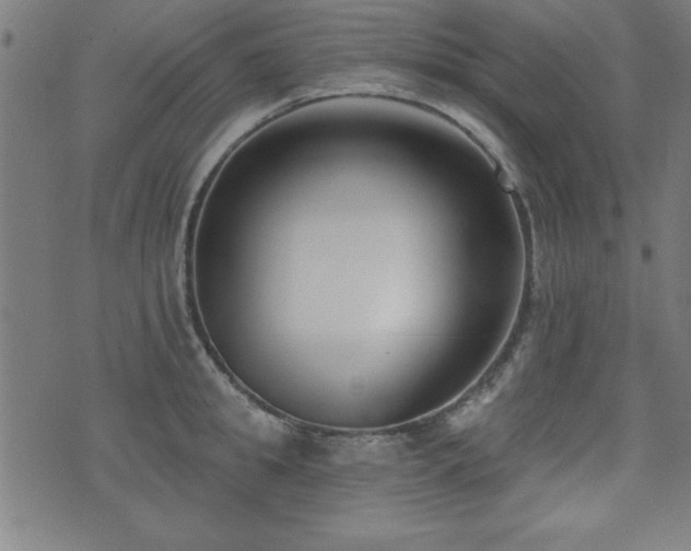 X0000075370949200609081136