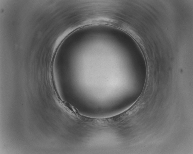 X0000075370960200609081136