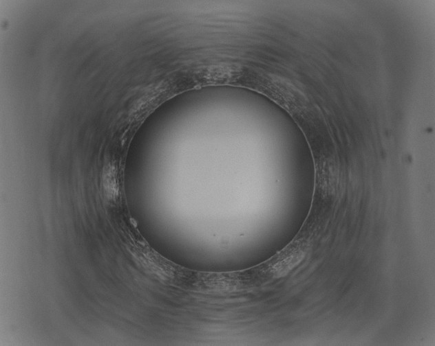 X0000075370962200609081135
