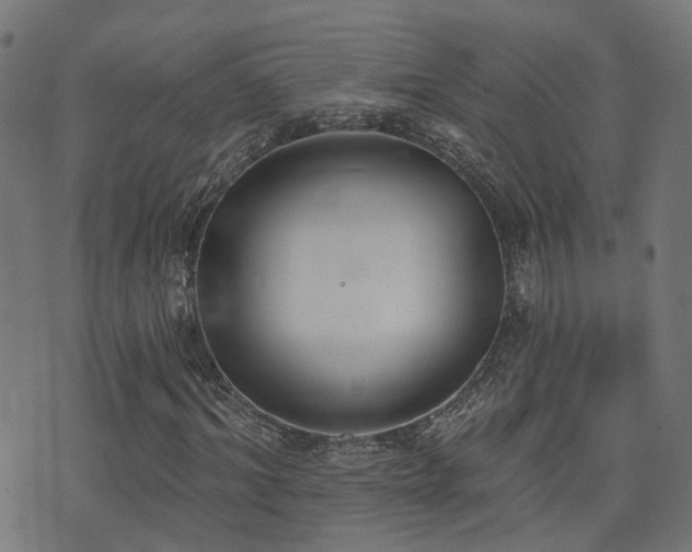 X0000075370964200609081135