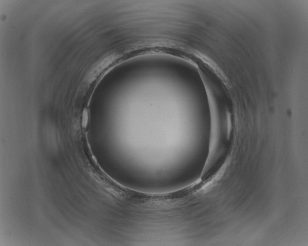 X0000075370977200609081135