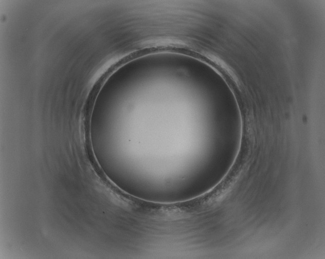 X0000075370983200609081135
