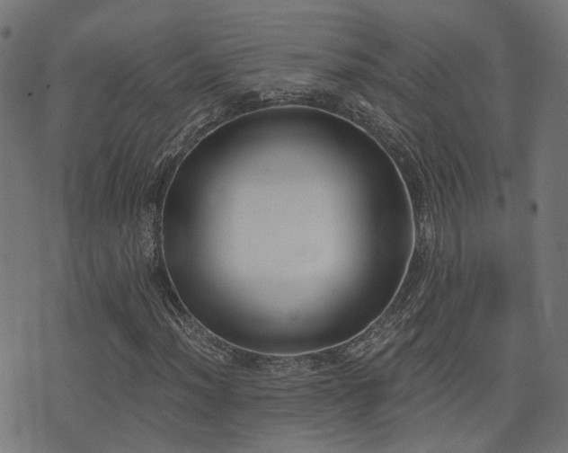 X0000075371012200609081134