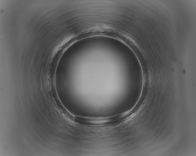 X0000075371018200609081134