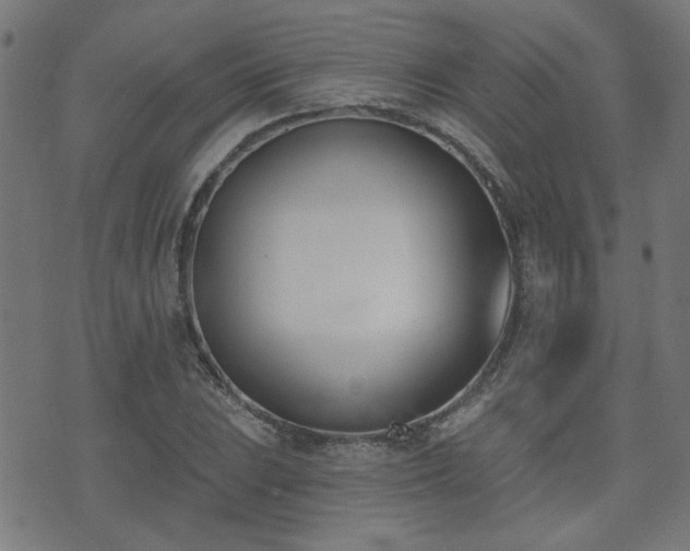 X0000075371023200609081134