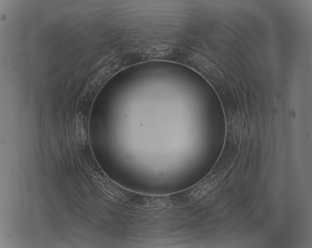 X0000075371058200609081134