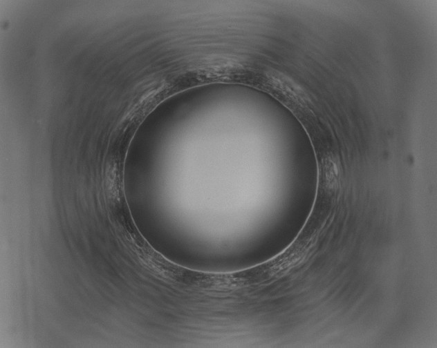 X0000075371060200609081134
