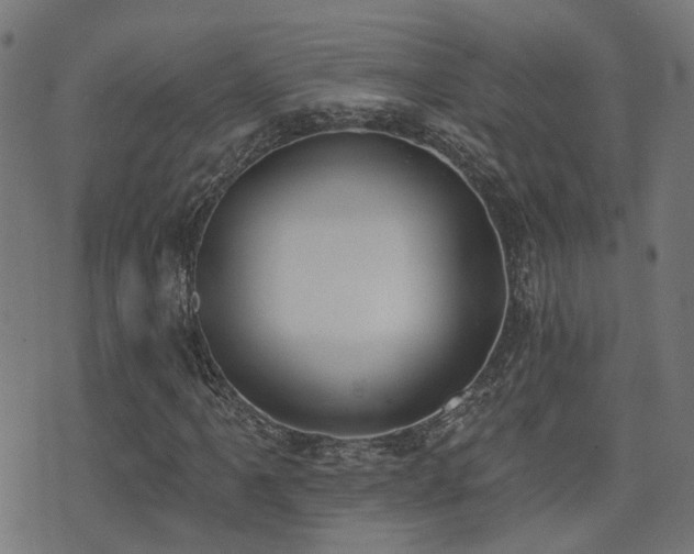 X0000075371061200609081134
