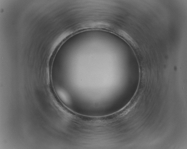 X0000075371079200609081133