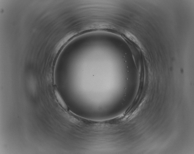 X0000075371081200609081133