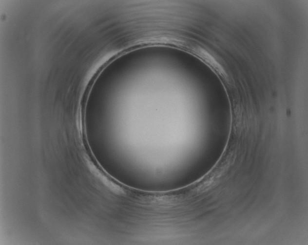 X0000075371084200609081133