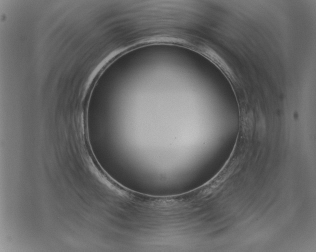 X0000075371092200609081133