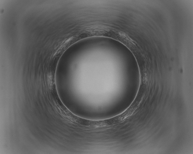 X0000075371108200609081132