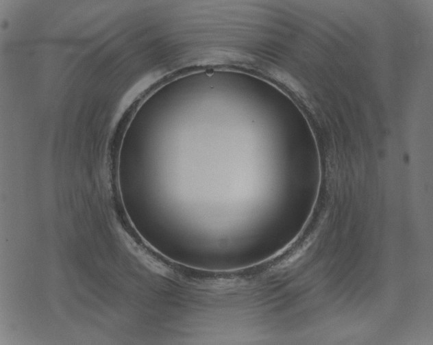 X0000075371122200609081132