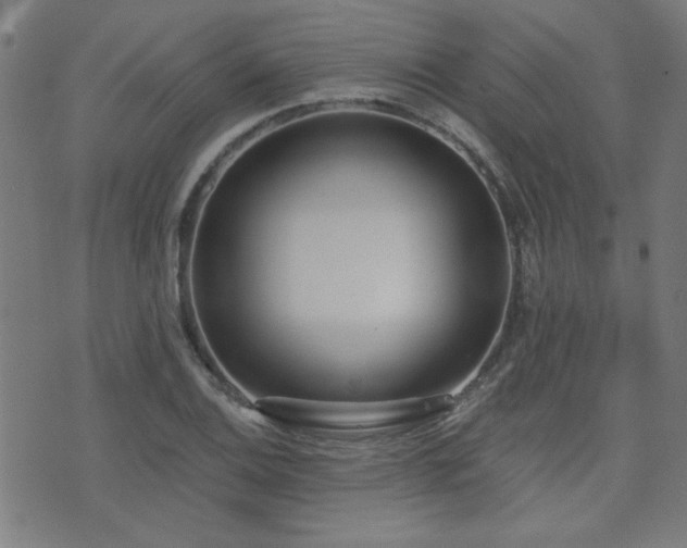 X0000075371124200609081132