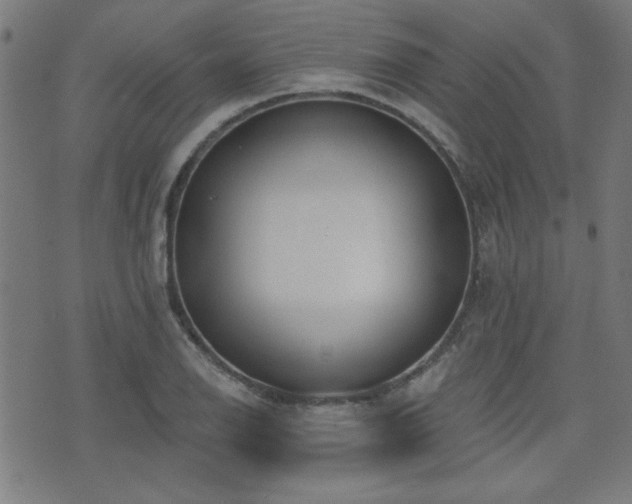 X0000075371126200609081133