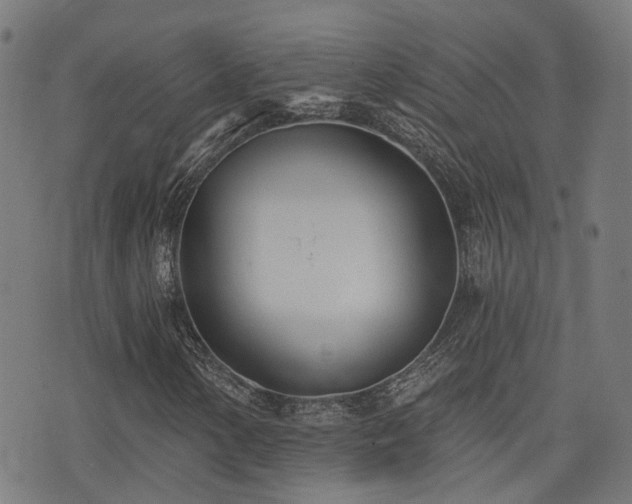 X0000075371154200609081132