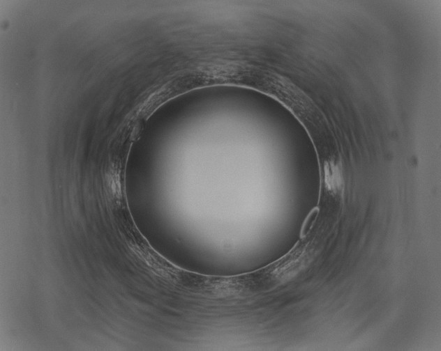 X0000075371155200609081132