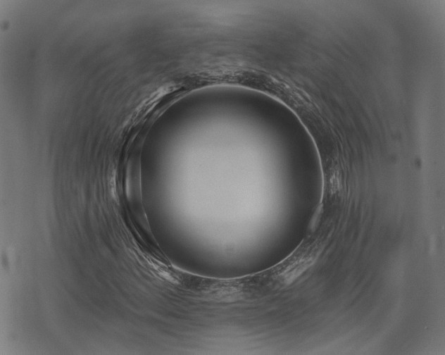 X0000075371156200609081132