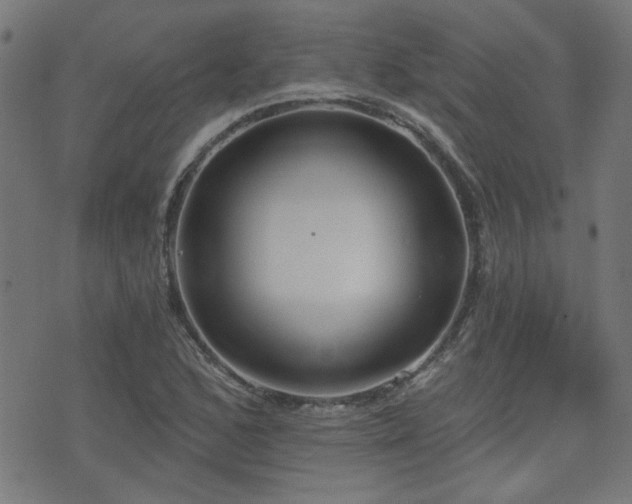 X0000075371168200609081132