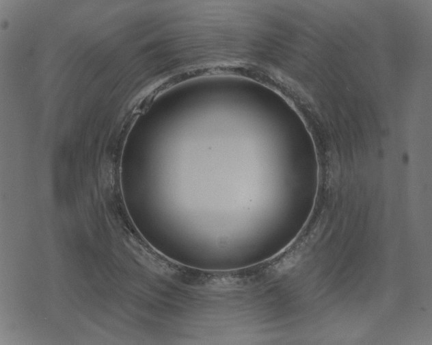 X0000075371169200609081132