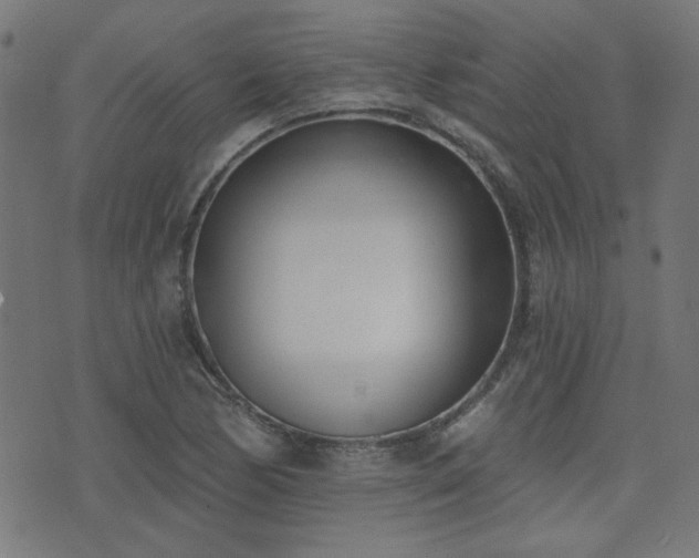 X0000075371170200609081132