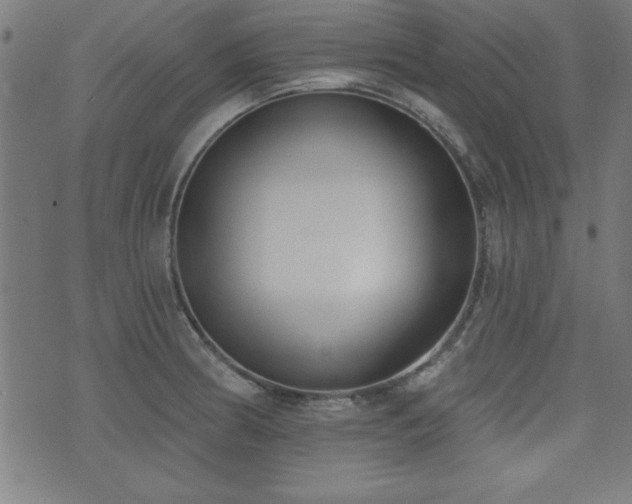X0000075371186200609081132
