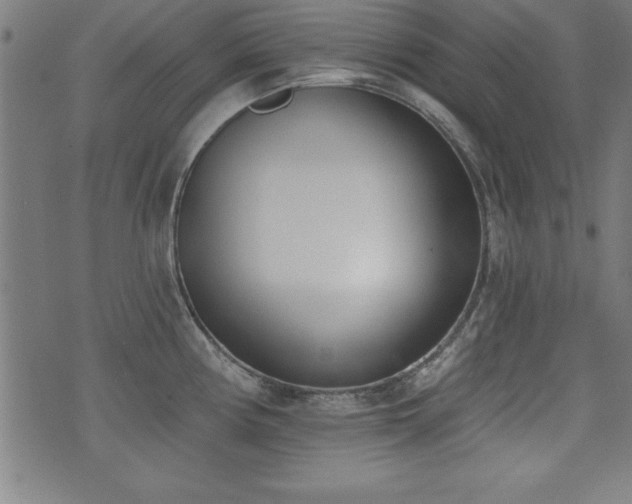 X0000075371194200609081131