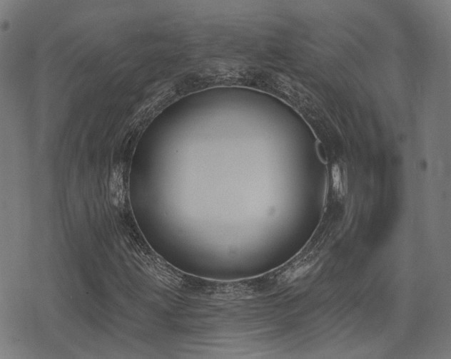 X0000075371203200609081131