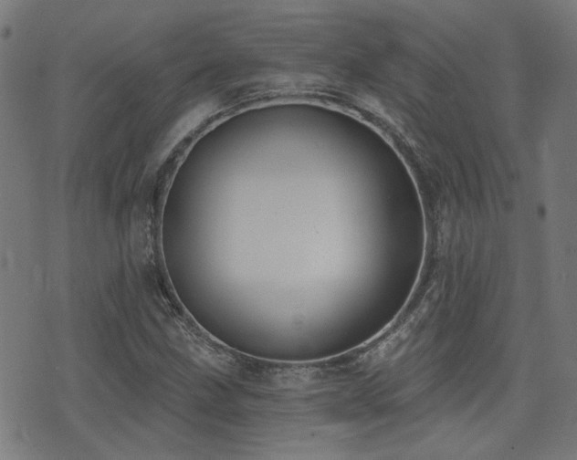 X0000075371211200609081131
