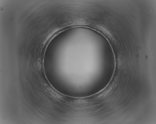 X0000075371212200609081131