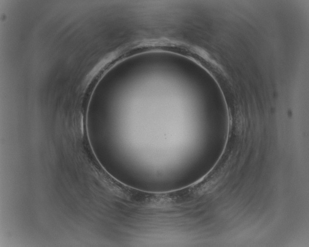 X0000075371221200609081131