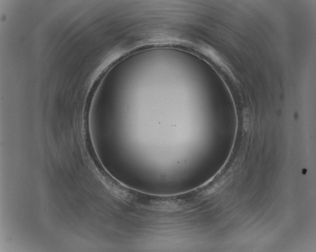 X0000075371229200609081131